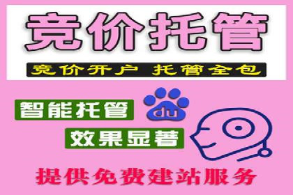 SEM推广公司案例分享：电商品牌崛起之路